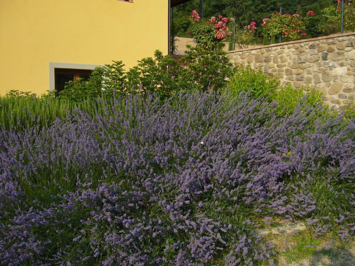 Agriturismo Podere Filicaia San Giovanni Valdarno Exteriör bild